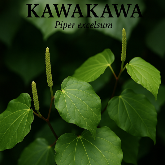 Fresh kawakawa leaves